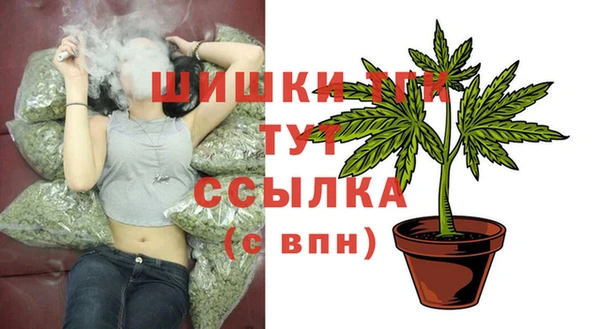 синтетический гашиш Заводоуковск
