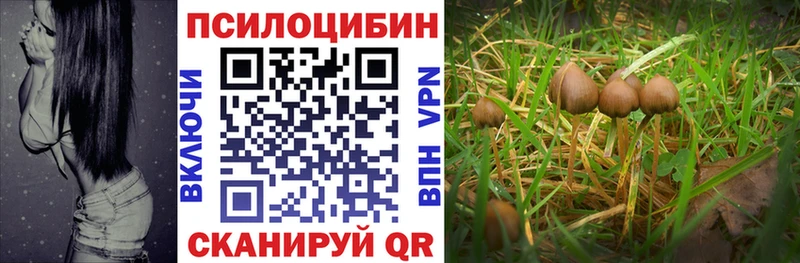 Псилоцибиновые грибы MAGIC MUSHROOMS  Лосино-Петровский 
